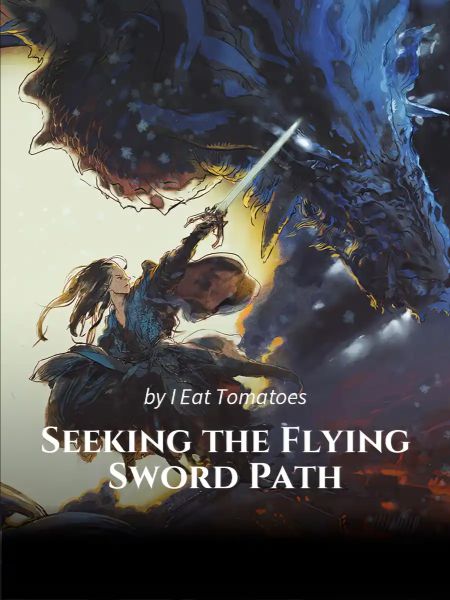 Seeking the Flying Sword Path